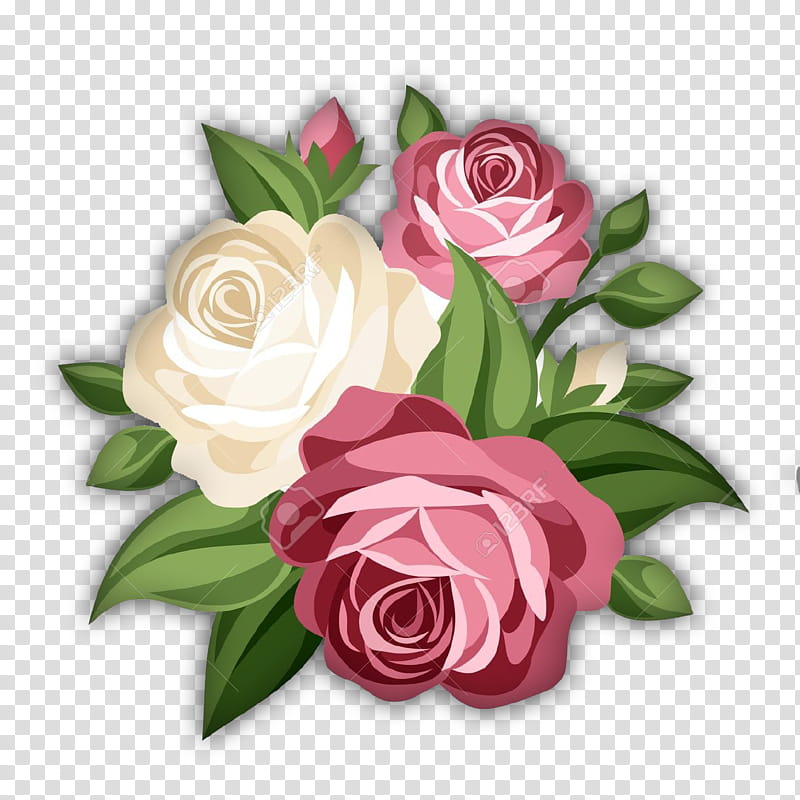 Recursos es Flowers, red and white rose flowers art transparent background PNG clipart