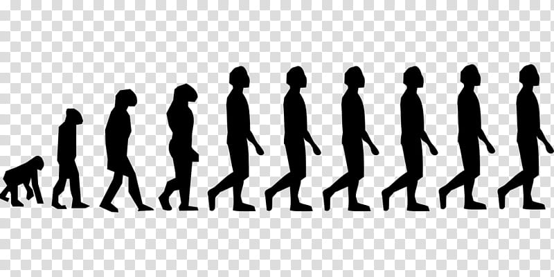 Group Of People, Neanderthal, Human Evolution, Ape, Modern Humans, Biology, Insitome Inc, Cladogenesis transparent background PNG clipart