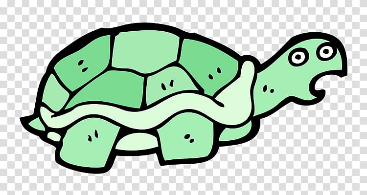 Sea Turtle, Tortoise, Drawing, Animal, Green, Pond Turtle, Reptile, Line Art transparent background PNG clipart
