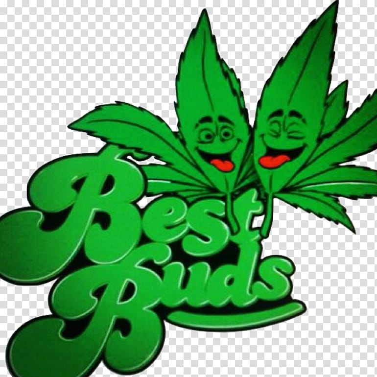 Cannabis Leaf, Best Buds, Kush, Medical Cannabis, Dispensary, Cannabis Shop, Sour Diesel, 420 Day transparent background PNG clipart