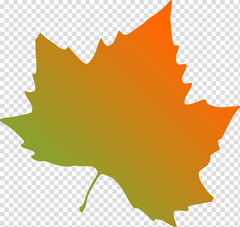 Facebook Plant, Maple Leaf, Indiana State University, Drawing, Tree, Woody Plant, Orange transparent background PNG clipart