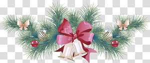 Christmas ornament, Oregon Pine, Tree, Christmas Decoration, Christmas Tree, Christmas 
, Colorado Spruce, Holiday Ornament transparent background PNG clipart thumbnail
