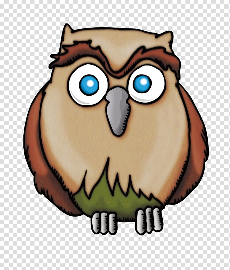 Owl, Little Owl, Drawing, Hiboux Chouettes, Cartoon, Bird, Eastern Screech Owl, Bird Of Prey transparent background PNG clipart