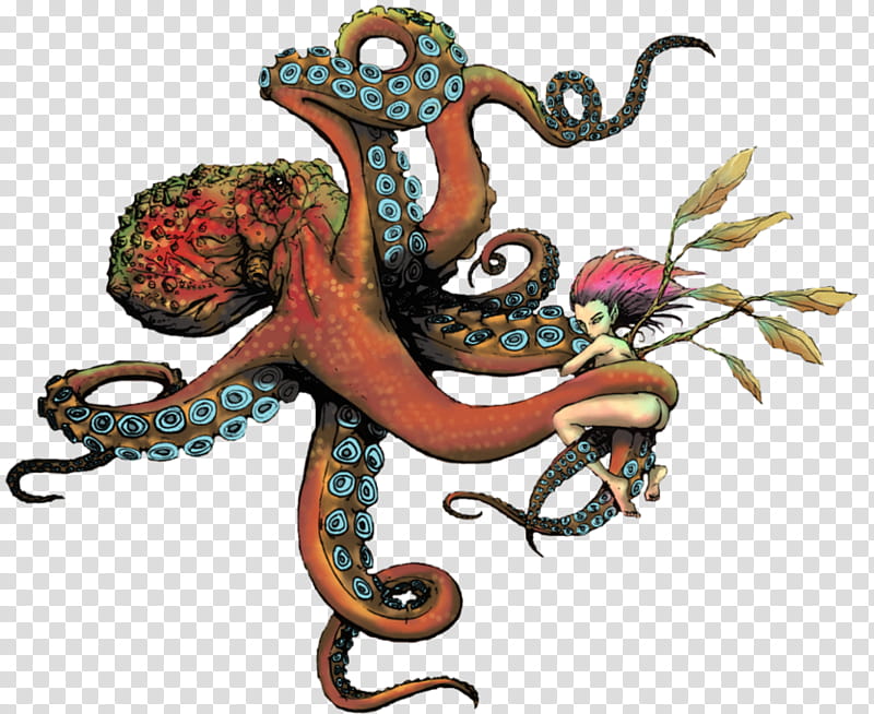 sailor jerry octopus