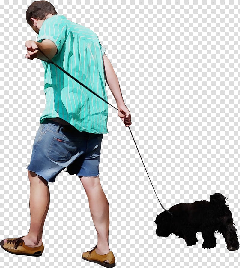 leash dog walking dog obedience training walking, Watercolor, Paint, Wet Ink, Companion Dog, Portuguese Water Dog transparent background PNG clipart
