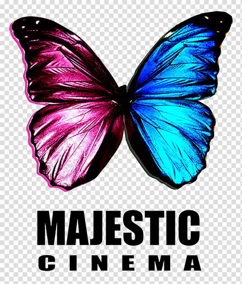 Tv, Majestic Cinema Kings Lynn, Film, Television Channel, Nilesat, Television Film, Art Film, Television Show transparent background PNG clipart