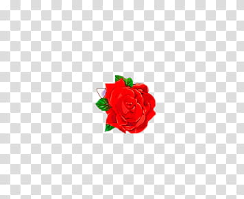 Flowers, red rose art transparent background PNG clipart