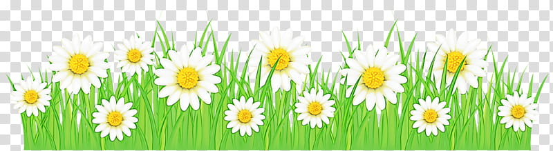 Green Grass, Wildflower, Commodity, Computer, Spring Framework, Mayweed, Daisy, Chamomile transparent background PNG clipart