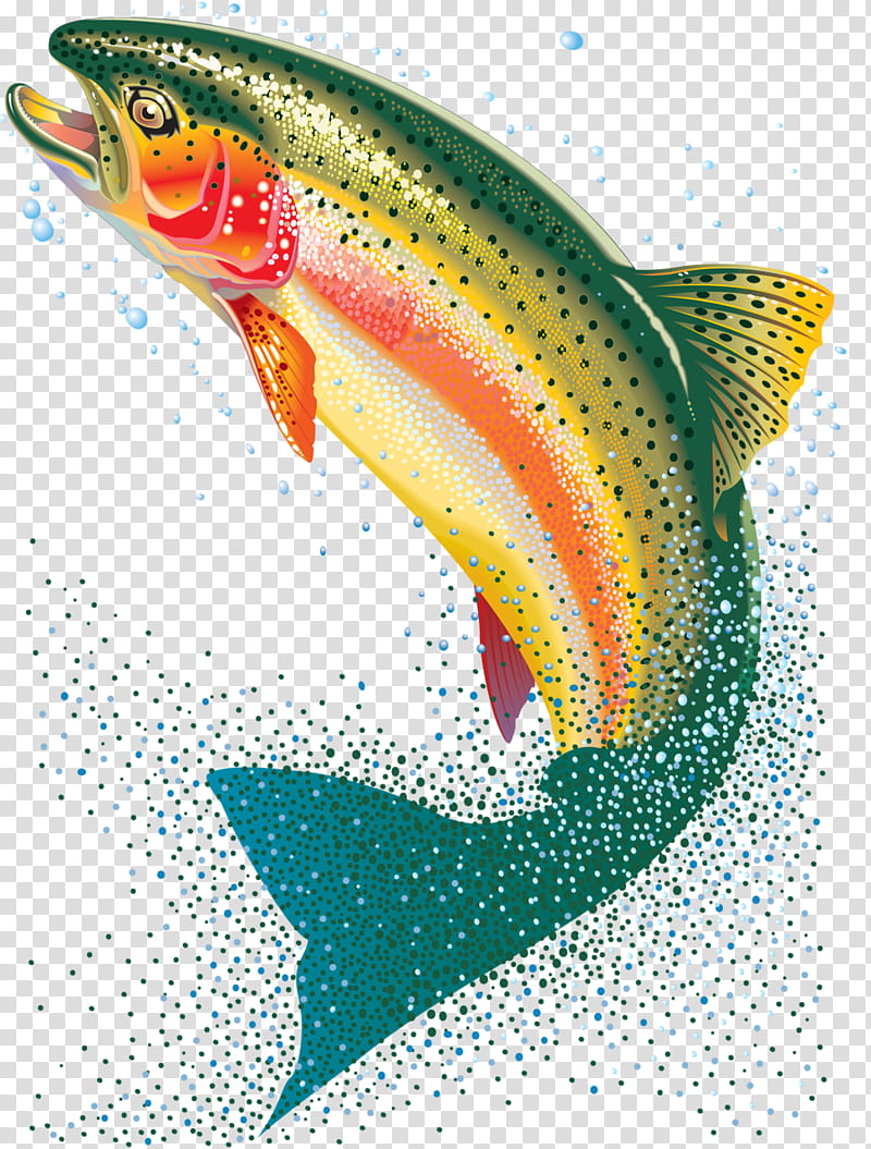Rainbow Drawing, Fish, Rainbow Trout, Painting, Bony Fishes, Northern Pike, Coho Salmon, Fishing transparent background PNG clipart
