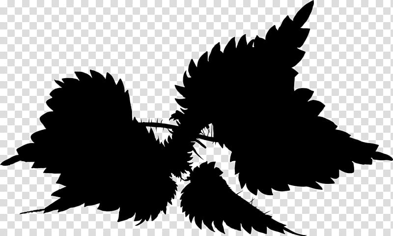 Bird Silhouette, Beak, Sky, Wing, Plant, Blackandwhite transparent background PNG clipart