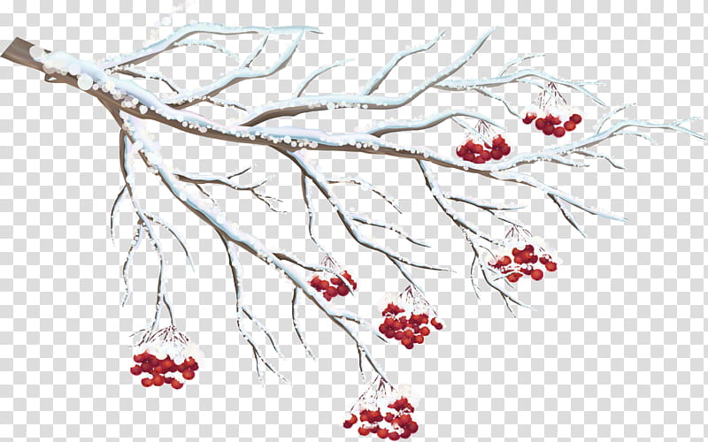 Branches winter, red petaled flower illustration transparent background PNG clipart