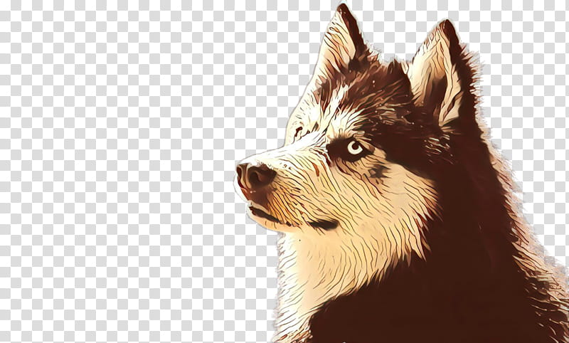 dog siberian husky snout canadian eskimo dog sakhalin husky transparent background PNG clipart