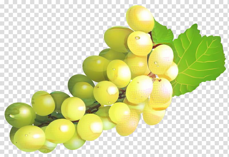 Flower Leaves, Sultana, Seedless Fruit, Grape, Food, Grape Seed Extract, Superfood, Grapevine Family transparent background PNG clipart