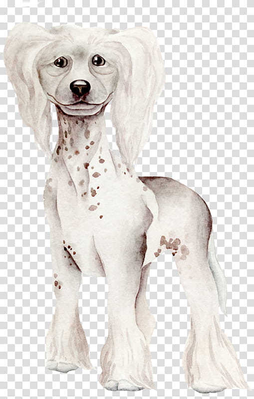 Watercolor Drawing, Dog Breed, Chinese Crested Dog, Watercolor Painting, Poodle, , Puppy, Vertebrate transparent background PNG clipart