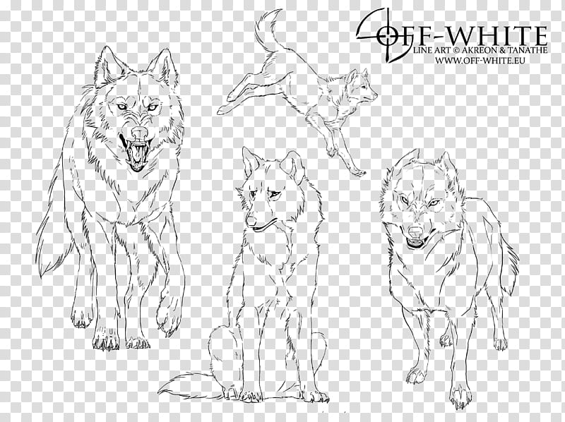 off white line arts, four wolves sketch transparent background PNG clipart