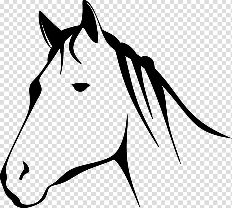 Book Black And White, Horse, Bucking, Pony, Bucking Horse, Silhouette, Equestrian, Line Art transparent background PNG clipart