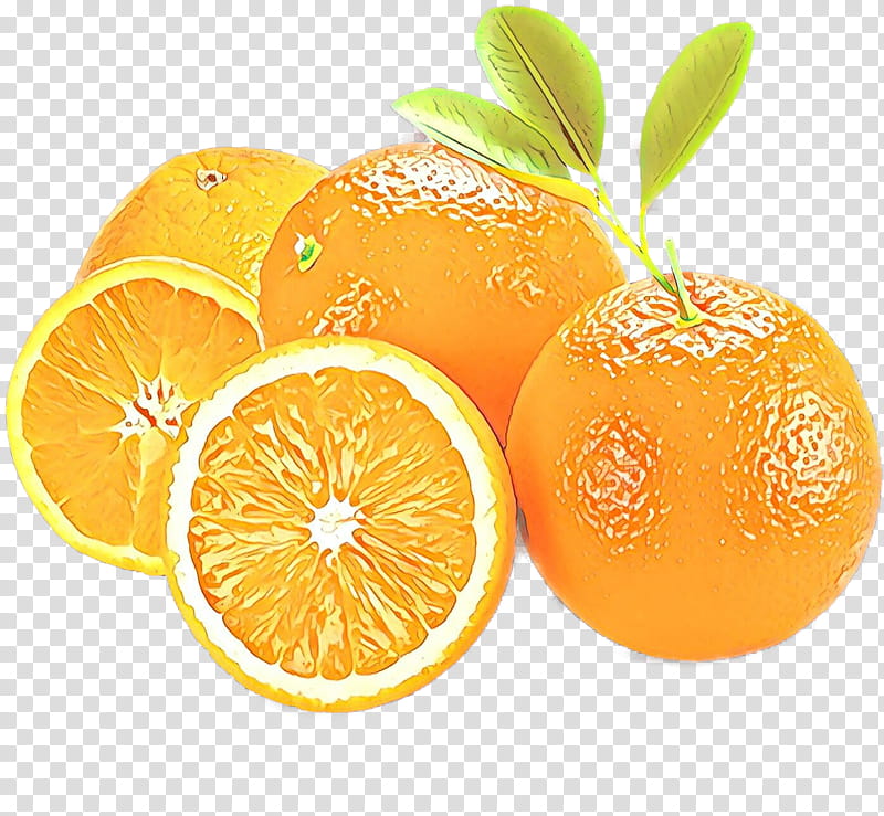 Orange, Citrus, Fruit, Mandarin Orange, Tangerine, Valencia Orange, Clementine, Bitter Orange transparent background PNG clipart