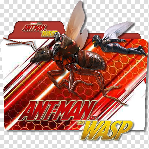 Antman and the Wasp  Folder Icons, Antman and the Wasp (), transparent background PNG clipart