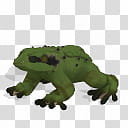 Spore creature Common frog , green frog illustration transparent background PNG clipart