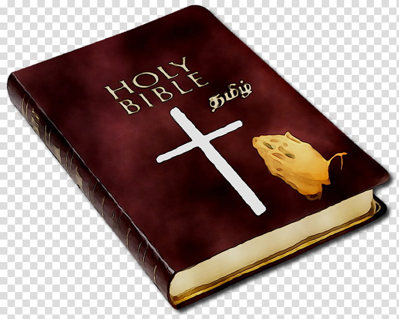 Book Cover, Bible, Novum Testamentum Graece, New International Version, Catholic Bible, Religious Text, Religion, Christianity transparent background PNG clipart