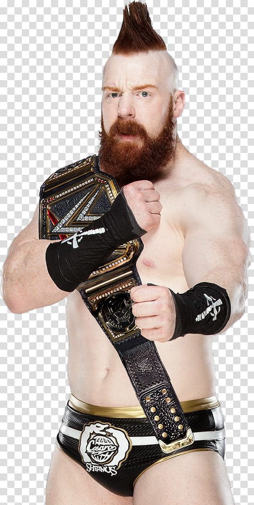 Sheamus WWE Championship transparent background PNG clipart
