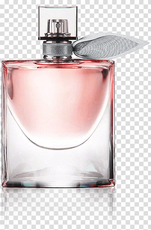 Chanel Perfume, Eau De Parfum, Chanel Coco Eau De Parfum, Cosmetics ...