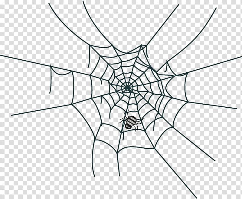 spider web halloween, Halloween , White, Line, Symmetry, Diagram, Line Art, Circle transparent background PNG clipart