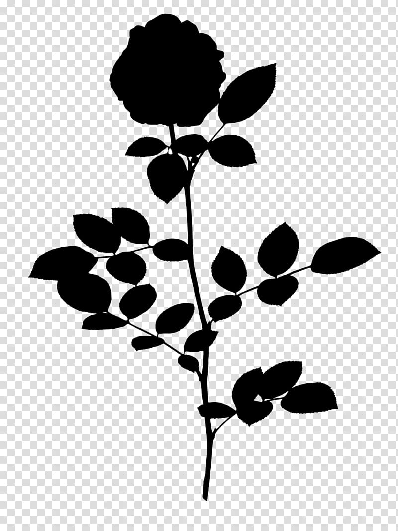 Wedding Flower, Wedding Invitation, Leaf, Plant Stem, Community, Plants, Silhouette, Job transparent background PNG clipart
