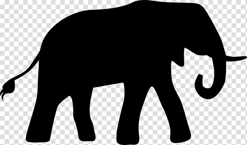 Puma Logo, African Elephant, Indian Elephant, Cat, Horse, Cattle, Animal, Wildlife transparent background PNG clipart