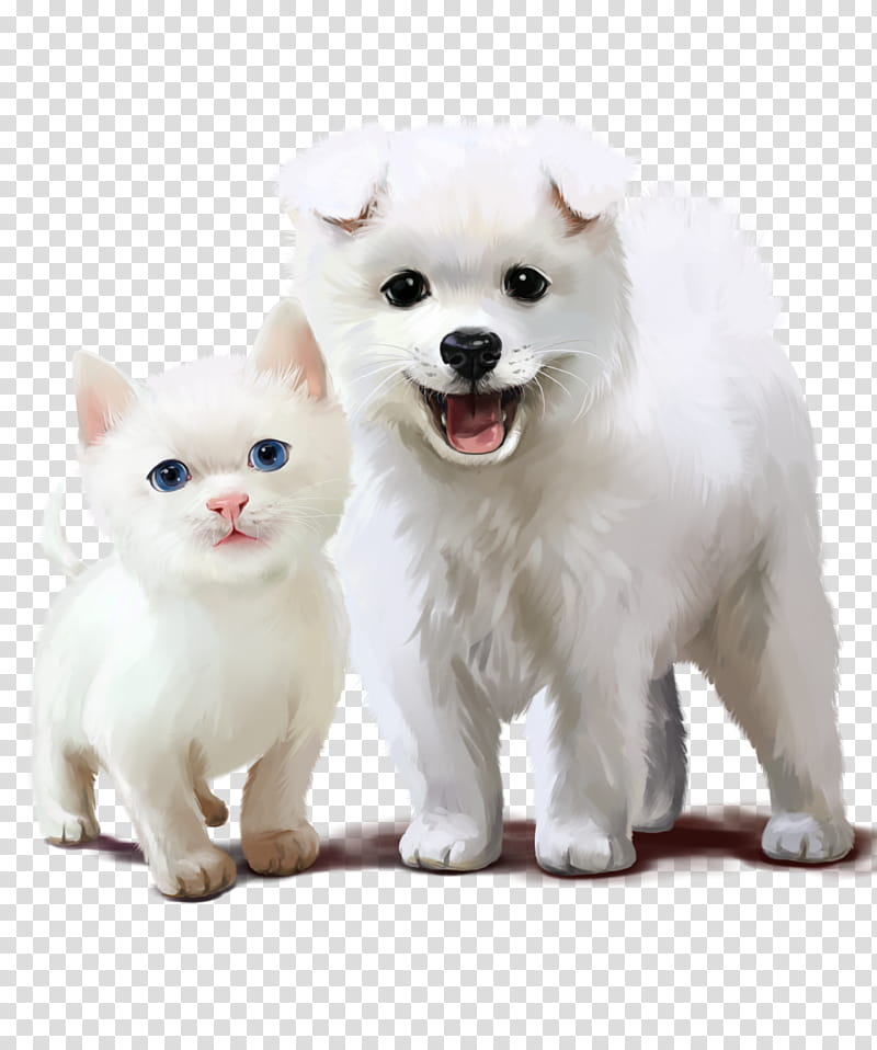 Dog And Cat, German Spitz Klein, Puppy, Japanese Spitz, Pomeranian, Volpino, Kitten, Samoyed Dog transparent background PNG clipart