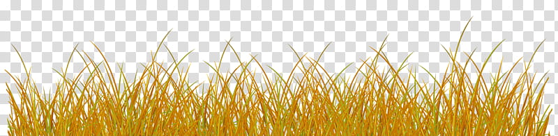 Cartoon Nature, Autumn, Wheat, Sticker, Grasses, Grain, Sky, Plants transparent background PNG clipart