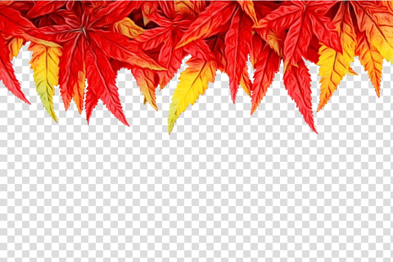 Red Maple Leaf, Autumn, Green, Orange, Yellow, Season, Texture, Brown transparent background PNG clipart