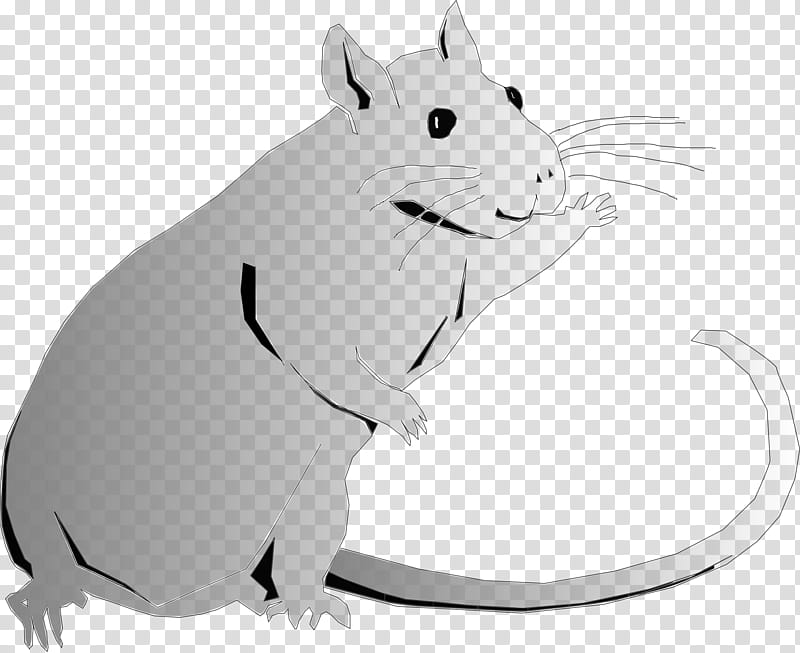 Dog Drawing, Rat, Rattery, Mouse, Muroidea, Muridae, Whiskers, Black And White transparent background PNG clipart