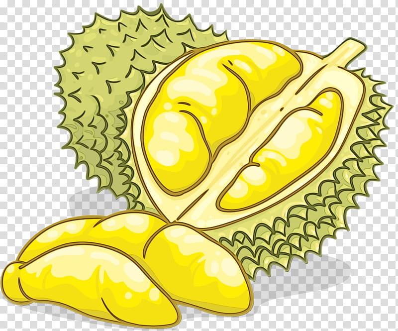 fruit durian yellow food natural foods, Watercolor, Paint, Wet Ink, Plant, Starfruit Plant, Artocarpus, Superfood transparent background PNG clipart