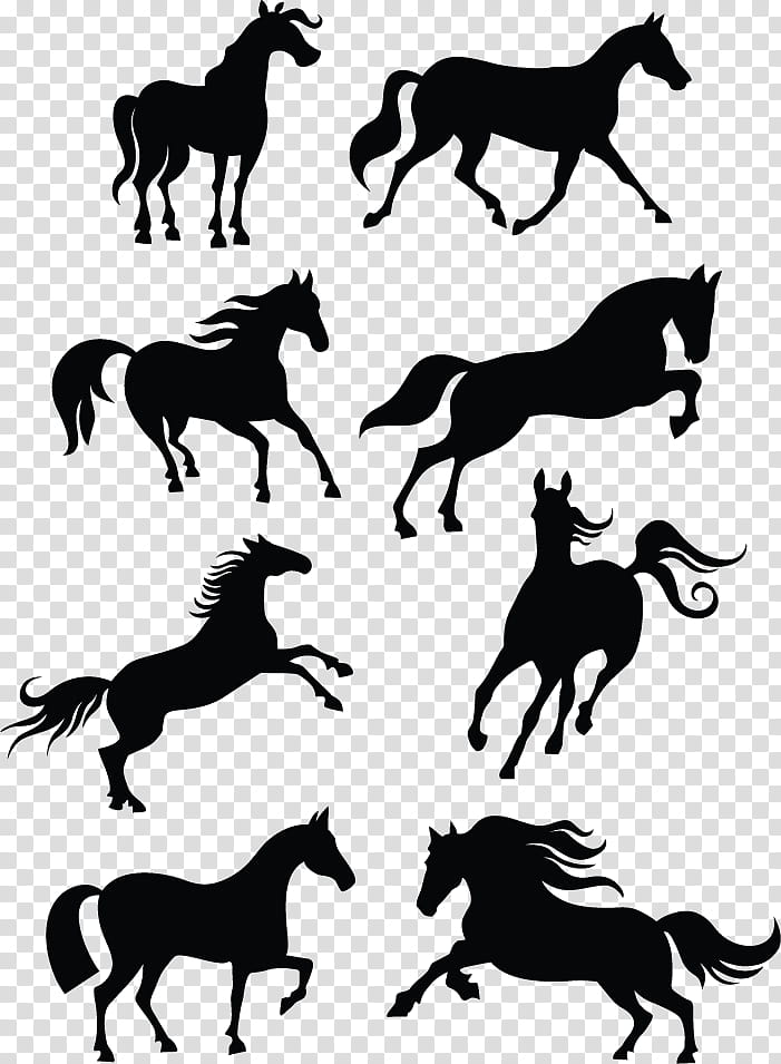 Dog Silhouette, Horse, Horse Racing, Drawing, Equestrian, Black And White
, Mane, Horse Tack transparent background PNG clipart