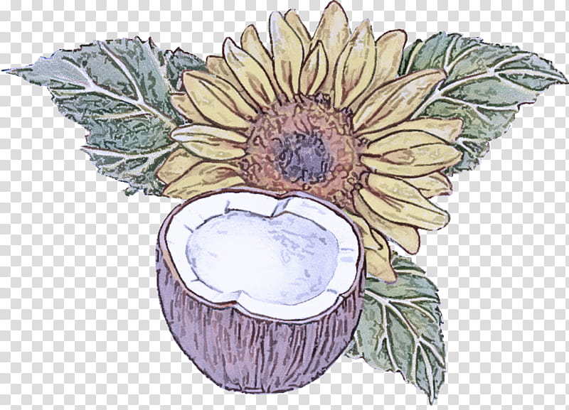 Sunflower, Leaf, Plant, Perennial Plant transparent background PNG clipart