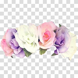 Flower Crowns, pink flower transparent background PNG clipart