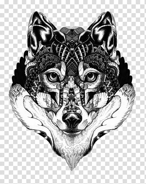 black and white fox painting transparent background PNG clipart