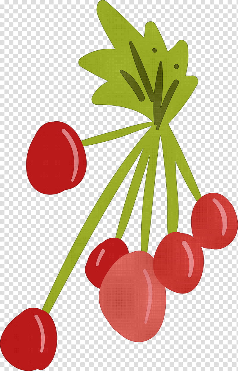 cherry leaf red fruit berry, Plant, Seedless Fruit, Currant, Superfruit transparent background PNG clipart