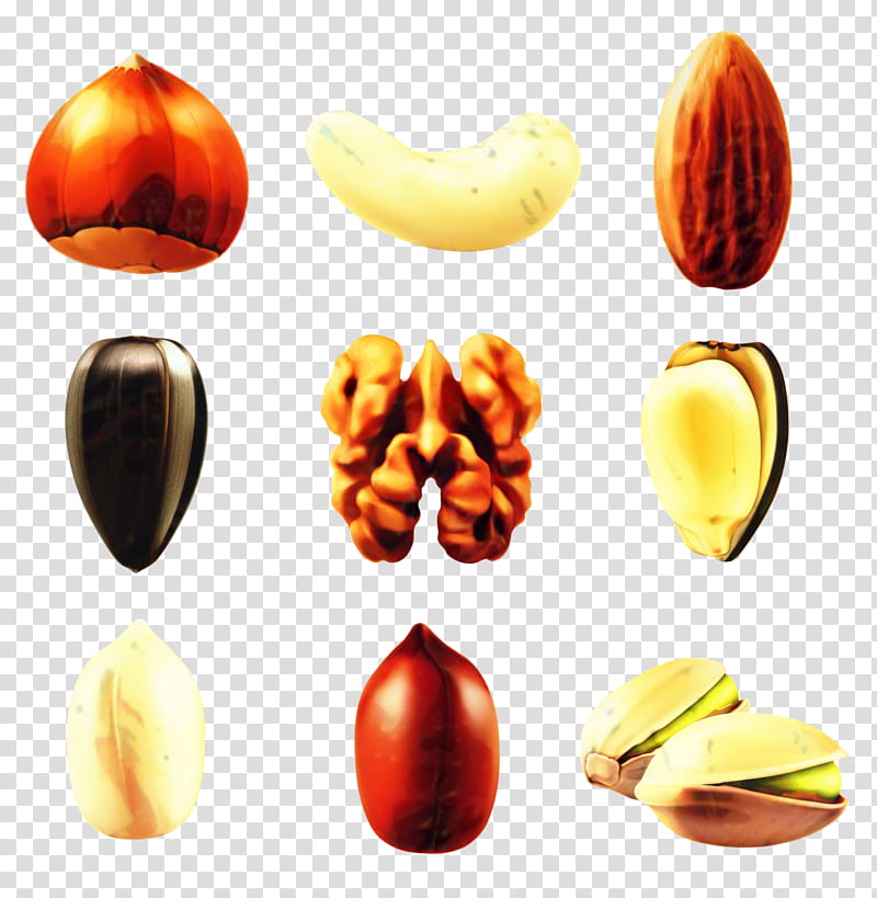 Fruit, Nut, Cashew, Almond, Dried Fruit, Mixed Nuts, Pistachio, Peanut transparent background PNG clipart