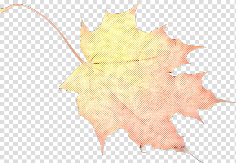 Family Tree, Maple Leaf, Black Maple, Yellow, Plane, Woody Plant, Planetree Family, Deciduous transparent background PNG clipart