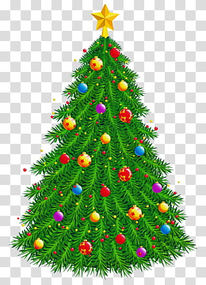Christmas tree, Christmas Decoration, Colorado Spruce, Christmas Ornament, Oregon Pine, Holiday Ornament, Christmas 
, Evergreen transparent background PNG clipart thumbnail