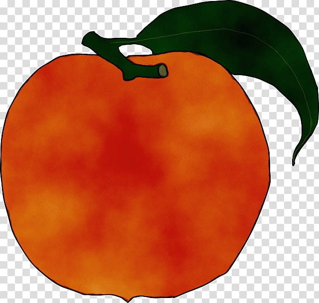 Leaf Watercolor, Paint, Wet Ink, Peach, Peach Melba, Fruit, Orange, Plant transparent background PNG clipart