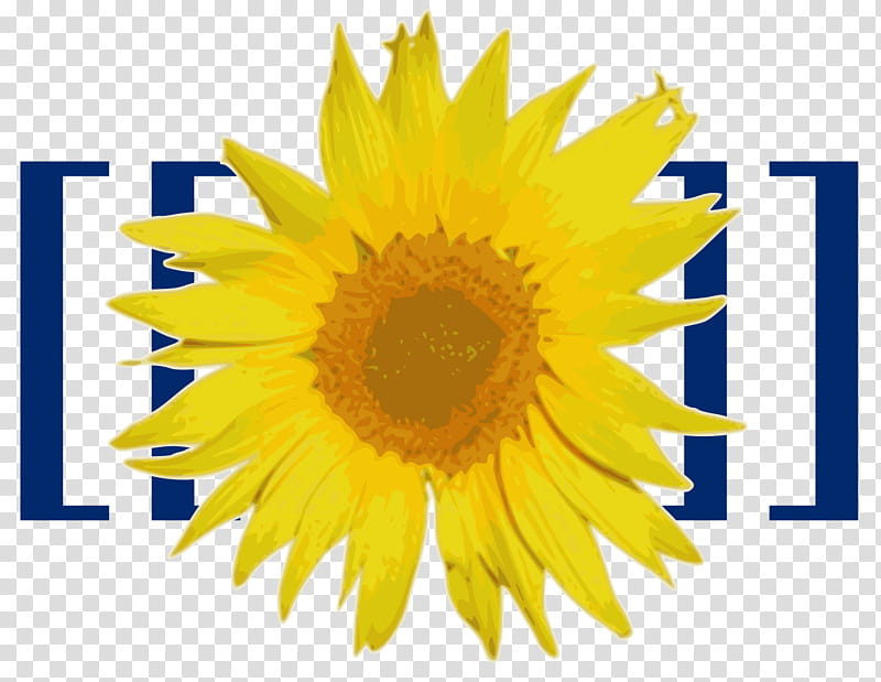 Flowers, Visualeditor, Logo, Semantic Mediawiki, Computer Software, Inkscape, Wiki Software, User transparent background PNG clipart