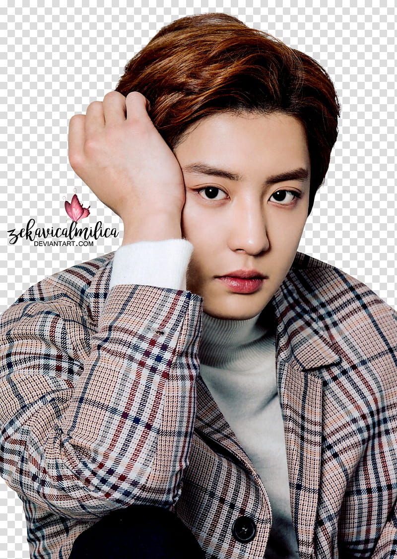 EXO Chanyeol Hanryu Pia, man wearing gray sweater and plaid coat transparent background PNG clipart