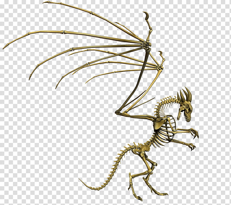 E S Bones II, skeleton dragon illustration transparent background PNG clipart