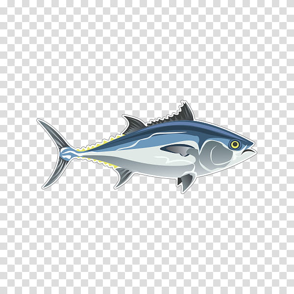 Shark Fin, Tuna, Porpoise, Swordfish, Whales, Dolphin, Cetaceans, Albacore Fish transparent background PNG clipart