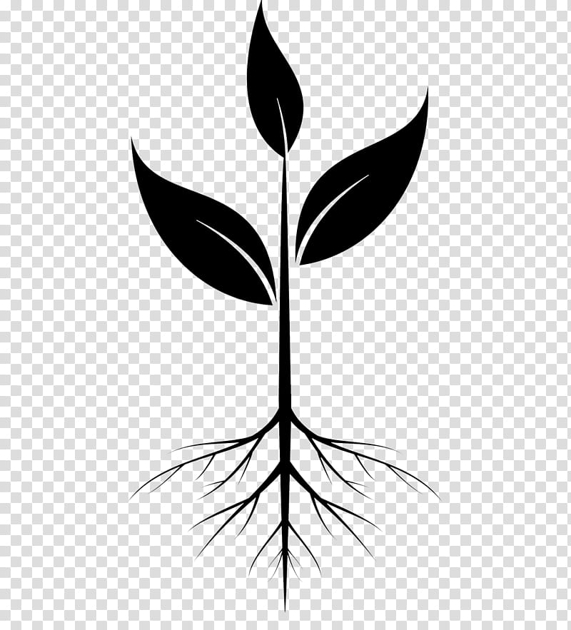 Family Tree, Root, Plants, Plant Stem, Twig, Leaf, Soil, Flower transparent background PNG clipart