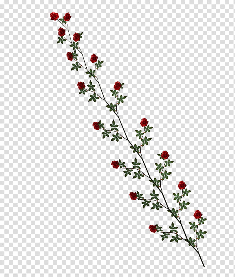 D Climbing Roses, red petaled flower transparent background PNG clipart