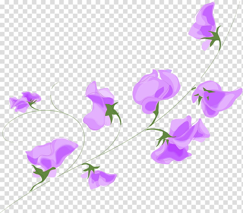 Floral Flower, Mobile Phones, Greeting Note Cards, Friendship, Birthday
, Television, Violet, Purple transparent background PNG clipart